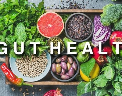 Nurturing Your Gut Health with Natural Medicine